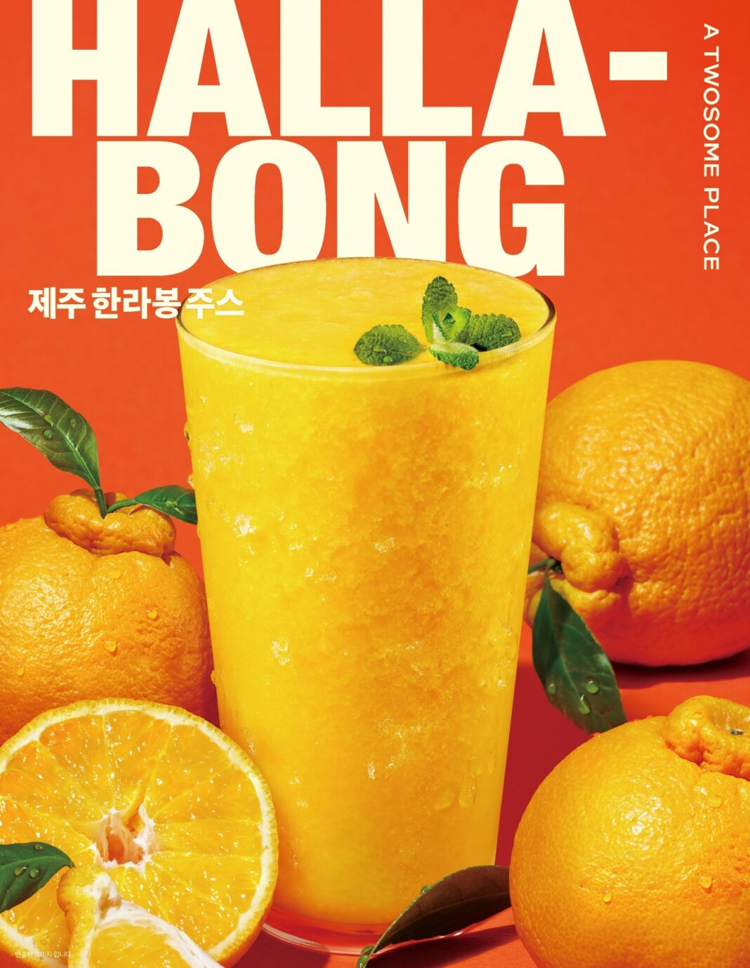 투썸플레이스, 제주 느낌 물씬 ‘한라봉 주스’ 론칭